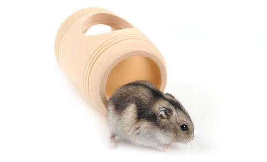 Tunnel per Hamster in Legno Naturale - Rifugio per Hamster Syrio - Rifugio per Topi e Ratti - Casa per Roditori Sostenibile - Facile da Pulire - Apertura Ampia - Tunnel per Roditori