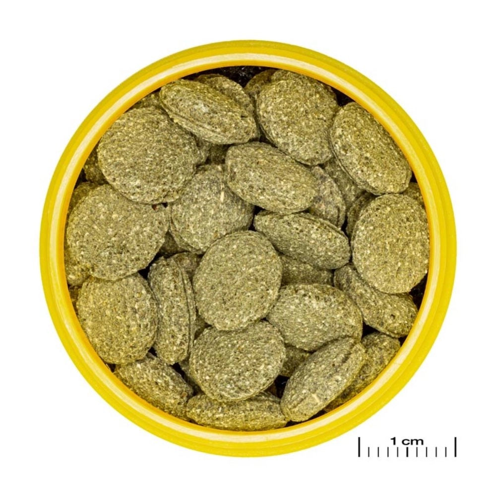 JBL ProNovo Pleco M - Compresse di mangime per loricaridi erbivori da 1 a 20cm Formato: 100 ml