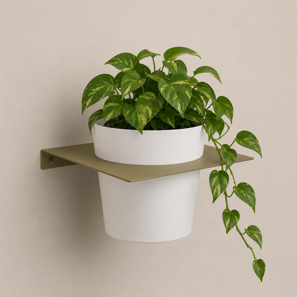 Tecnokit porta vasi da muro in metallo con vaso