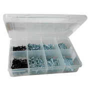 Assortimento chiodi 750 pz.