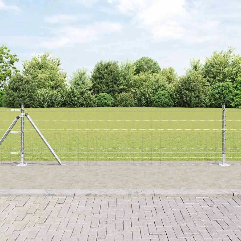 Recinzione da Giardino | Recinzione con Posto Argento 0,6 x 50 m Acciaio
