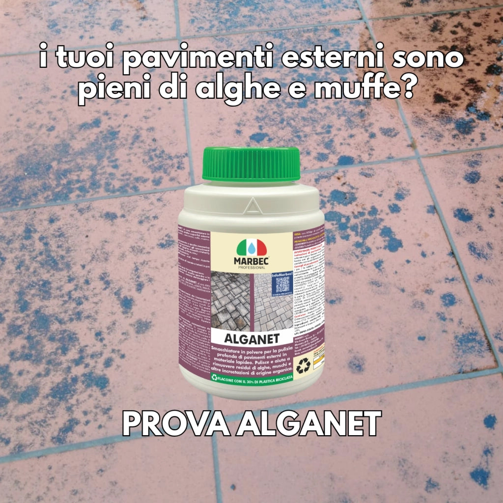 Pulizia pavimenti esterni ALGANET   800GR + Tampone Marrone