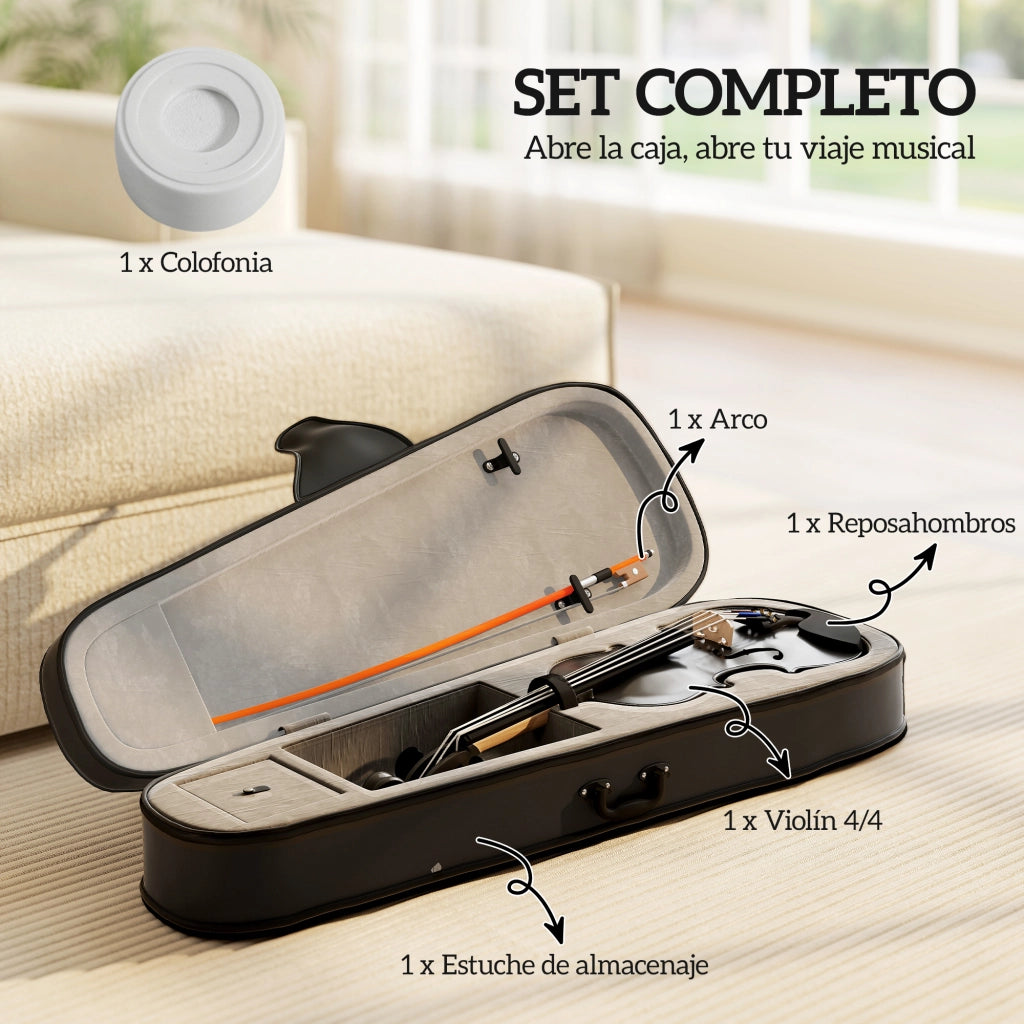 Violino 4/4 Completo in Legno con Custodia ¨C zephmum ¨C Nero