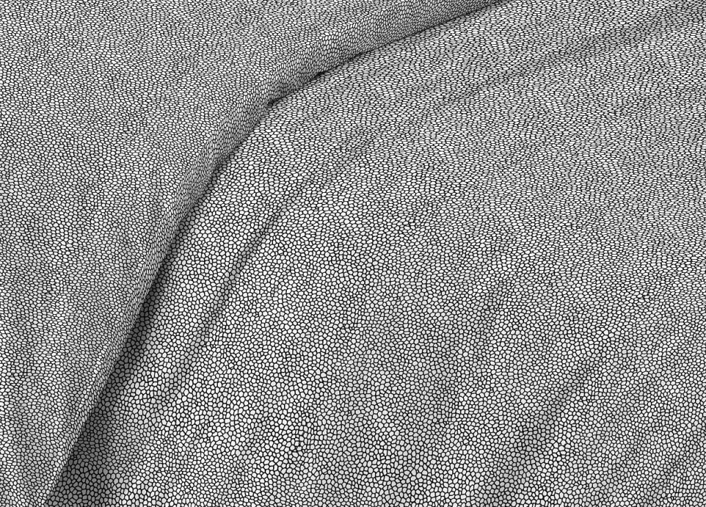 Completo Lenzuola Letto Camera In 100% Cotone Made Italy Vari Disegni RP - 1 Piazza - Benedetta Nero