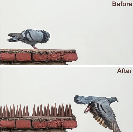 Spine per balcone - Repellenti per passeri - recinzioni e tetti / Repellenti per passeri - contro gatti \ difesa dagli animali - dispositivi di allarme per uccelli - 10 m