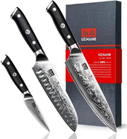 Set di coltelli da cucina 3 pezzi in acciaio Damascus giapponese - Coltelli da cucina professionale di alta qualità con lama ultra affilata e manico in G10 - Inclusa scatola regalo