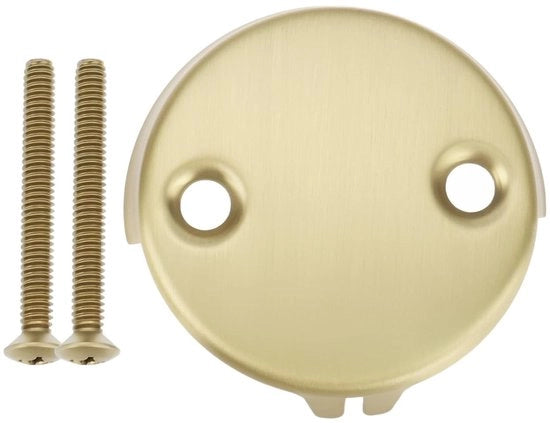 Piastra di scarico in acciaio inossidabile - Decorativa - Copertura - Compatibile con Delta RP31556CZ/RP293 - Viti - 3,1 x 1,9 x 0,5 pollici - Coperchio di sovrappiato