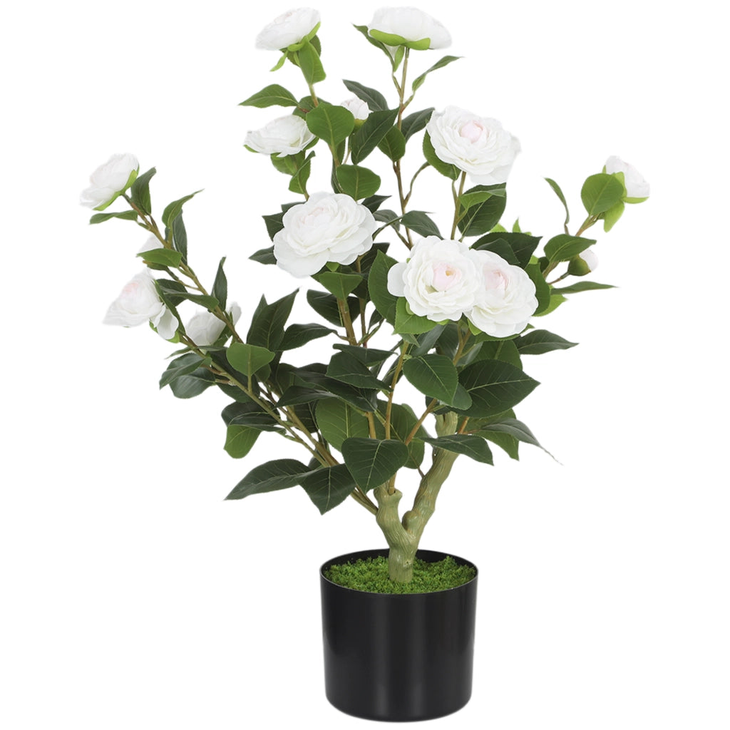 Planta Artificiale Camelia 65cm ¨C Minimal ¨C Bianco Verde