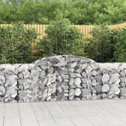 Cesti Gabbioni ad Arco 13 pz 300x50x80/100 cm Ferro Zincato 3146694