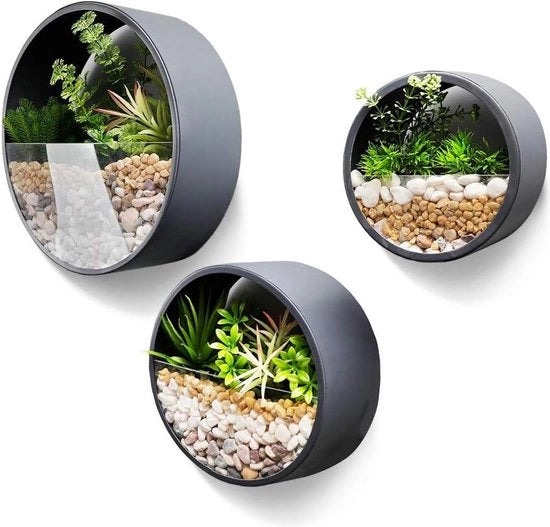 Set di 3 Cestini per Piante in Metallo Sferico - Appeso - per Interno - Decorazione per la Casa - Cestini per Cactus e Piante Succulente - Muffa Verde - Grigio Scuro - 10cm Diametro Hanger