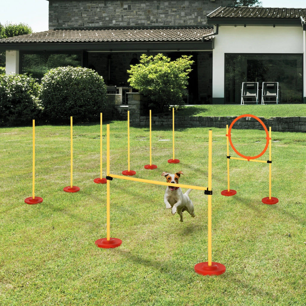 Set Agility per Cani 3 Pezzi ¨C Minimal ¨C Grigio/Verde