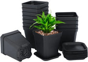 Piantagione in plastica nero per 12 piante - con fori di drenaggio - adatto per piante grasse - ideale per balcone e giardino - vaso per piante