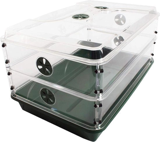 Cassa di crescita a cupola con 2 regolatori di altezza - Verde