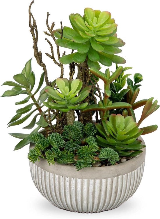 Piantine artificiali in vaso, succulente realistiche per soggiorno, camera da letto e bagno, piccola decorazione per arredamento interno