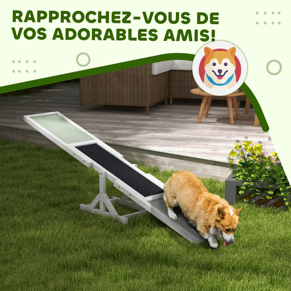 Tavola Equilibrio Agility Cani ¨C Xylo ¨C Antiscivolo 180x30x30cm Grigio Bianco