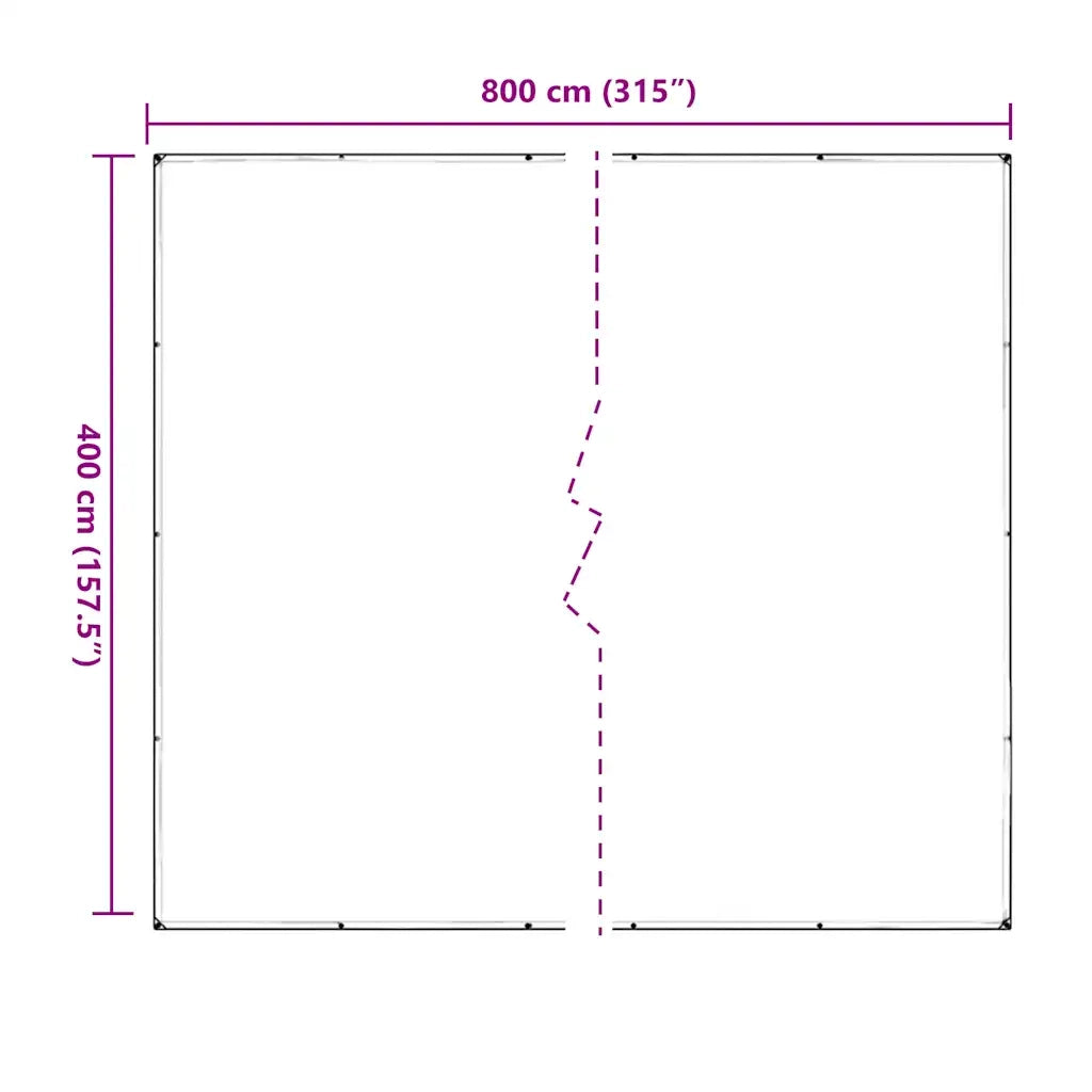 Telone Trasparente con Occhielli 4x8 m in PVC 4018609