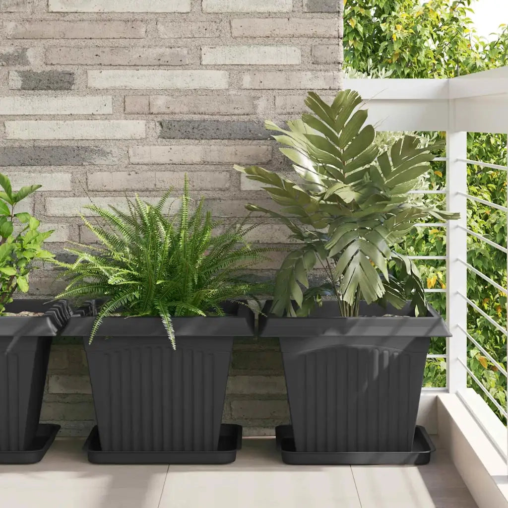Vassoio Quadrato per Fiori 24 pz Nero 36 x 36 x 2.5 cm CFW4266848