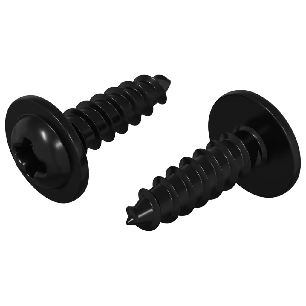 Chiodo autofilettante 2 pz Nero 3,5 x 12 mm Ferro CFW2443910
