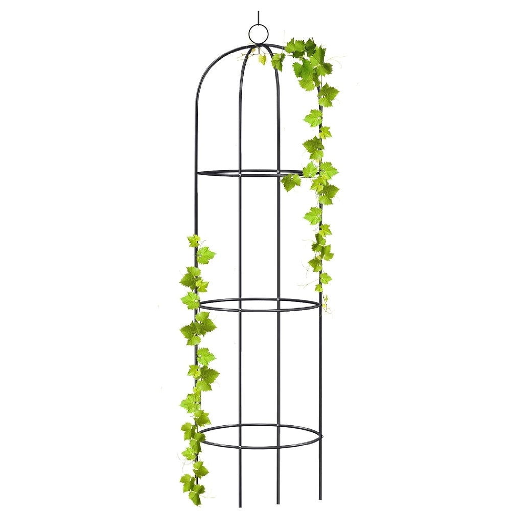 Supporto in Metallo per Piante Rampicanti da Giardino 40x60 H 185cm Verde