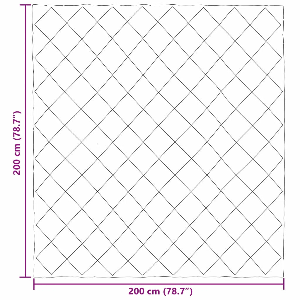 Piumone | Duvet Completo Annuale Antracite 200 x 200 cm Microfibra