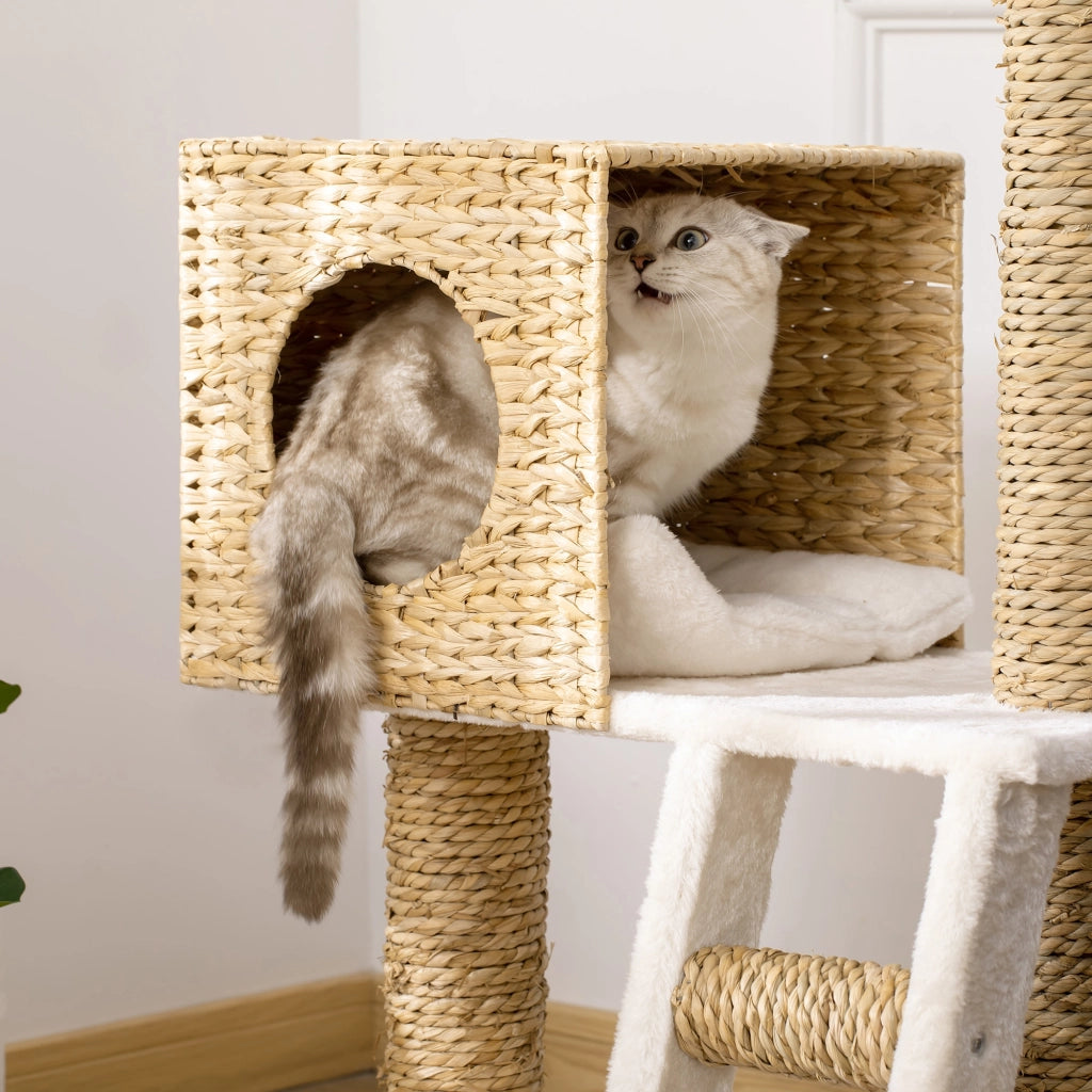 Albero per Gatti con Cuscini e Scala ¨C Minimal ¨C Grigio 100.5 cm