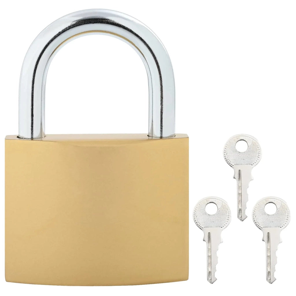 U Lock con Chiavi 2 pcs Ottone Ferro 42021930