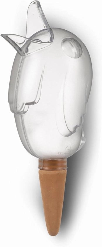 Accessorio di Pianta Transparente 90 ml Altezza 15 cm