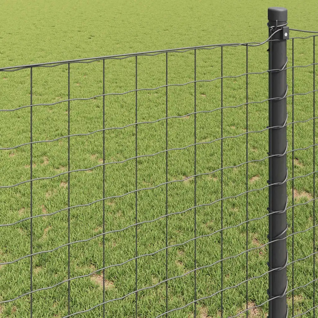 Recinzione Euro Grigio 1,2 x 25 m Ferro rivestito in PVC 42004518