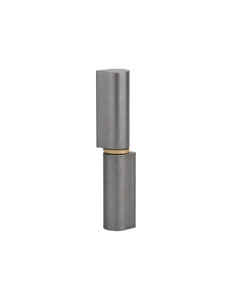 Cerniera a saldare in acciaio ino x 16 x 20 x 100 mm – THIRARD
