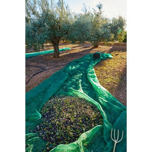 C RETE P/OLIVE ANTISPINA 80G  5X10M- 1,0 pz