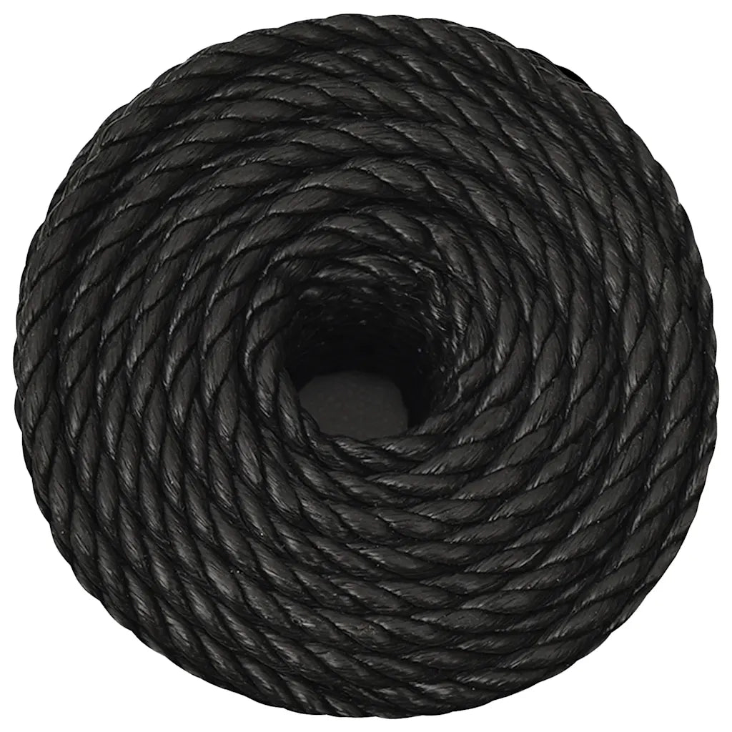 Corda | Fune da Lavoro Nera 14 mm 25 m in Polipropilene