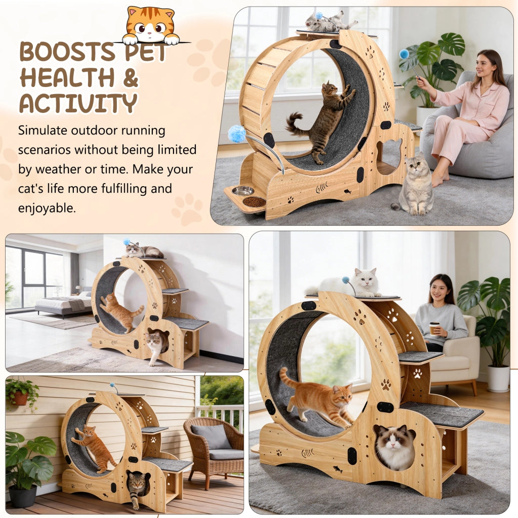 Ruota per gatti 6 in 1, ruota per esercizi per gatti, ruota per esercizi per gatti da interno migliorata, tapis roulant per gatti di grandi dimensioni