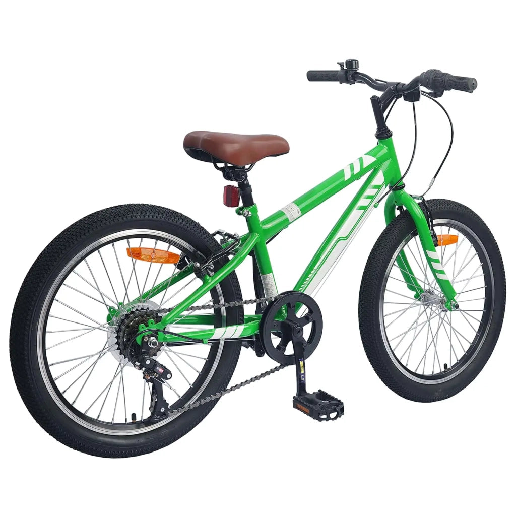 Mountain Bike 20 Pollici 6-Speed per bambini di 5-8 anni Verde