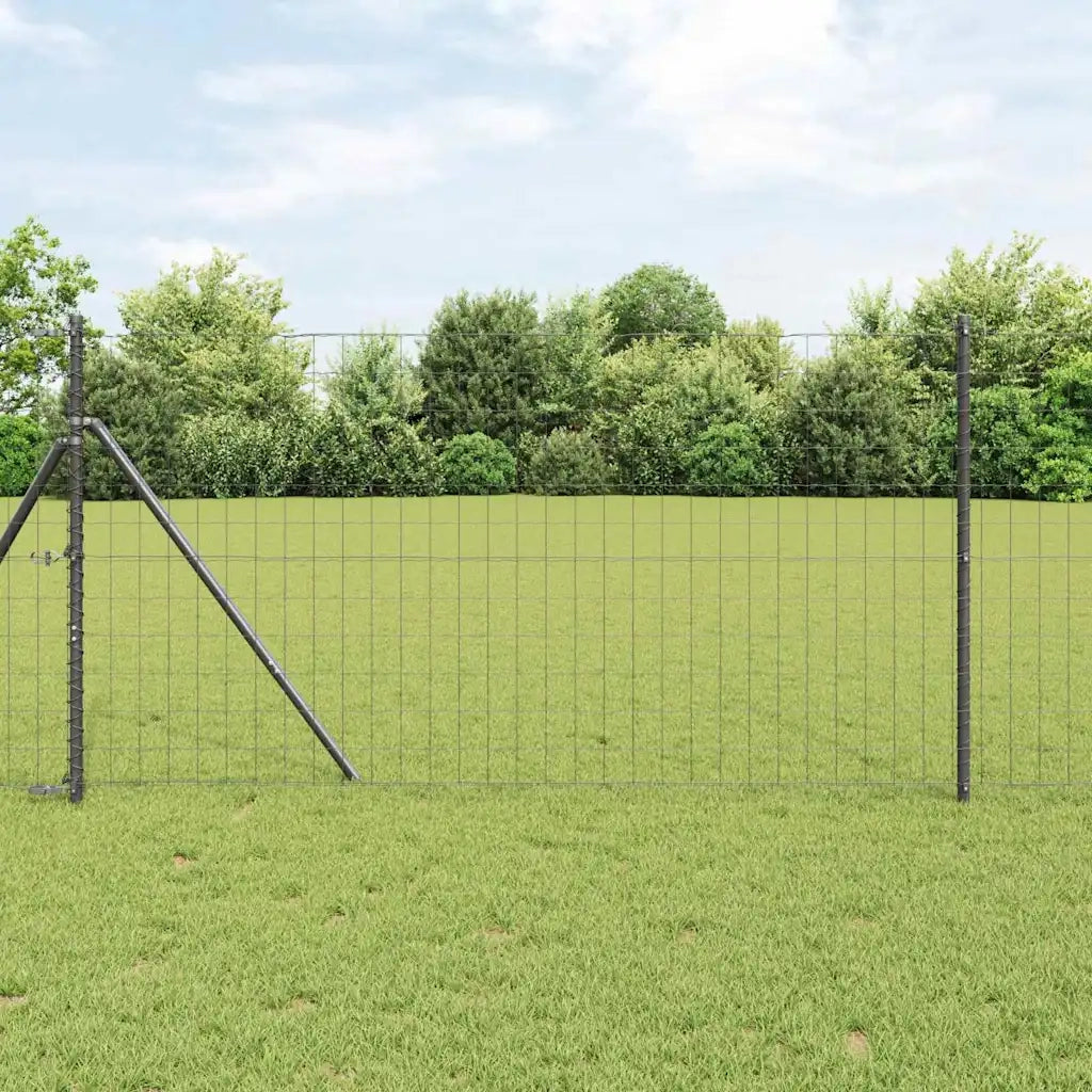 Recinzione Euro Grigio 1,2 x 10 m Ferro rivestito in PVC 42004502