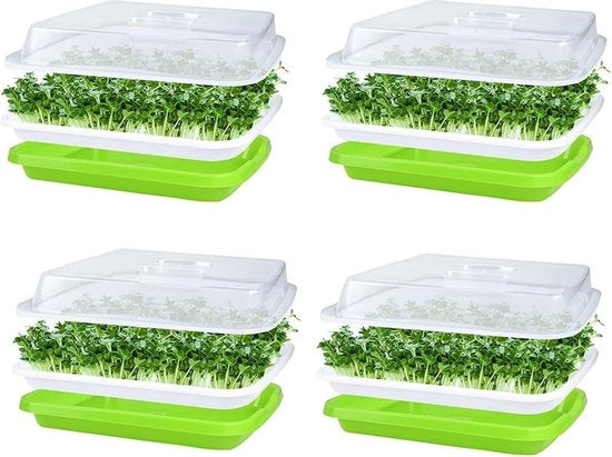 4 contenitori per innesto semi, innestatore semi, 32 cm x 26 cm, innestatore semi con coperchio per semi grandi, innestatore semi, innestatore semi per la coltivazione di fagioli mungo, alfalfa