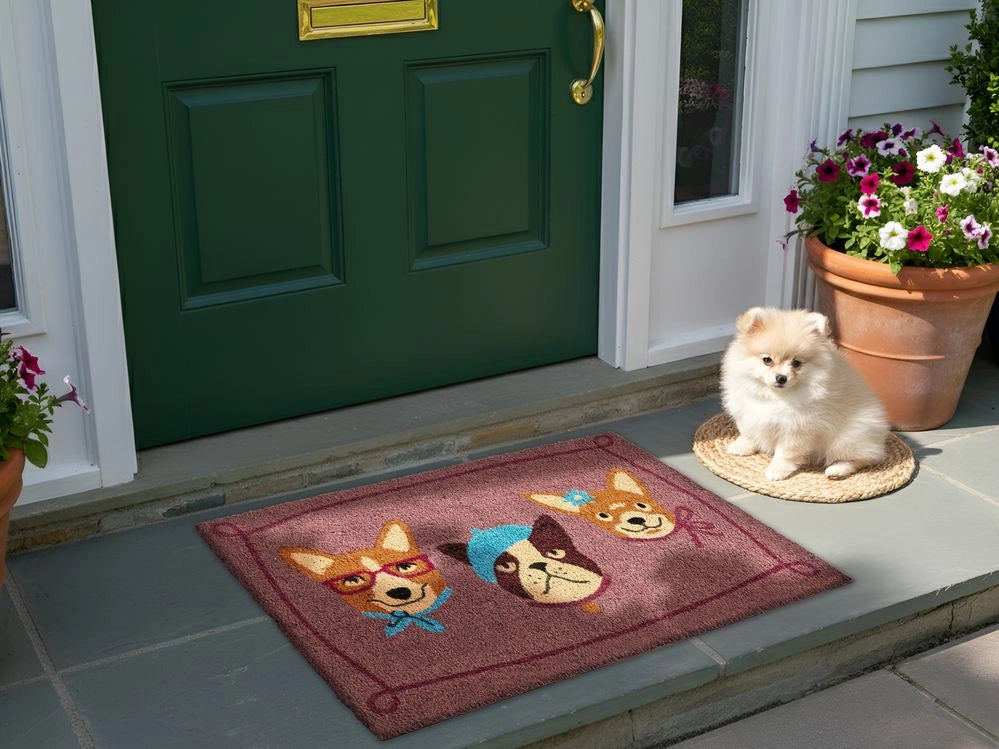Zerbino di benvenuto in fibra di cocco antiscivolo 60 x 90 cm con retro in PVC Motivo cane Multicolore