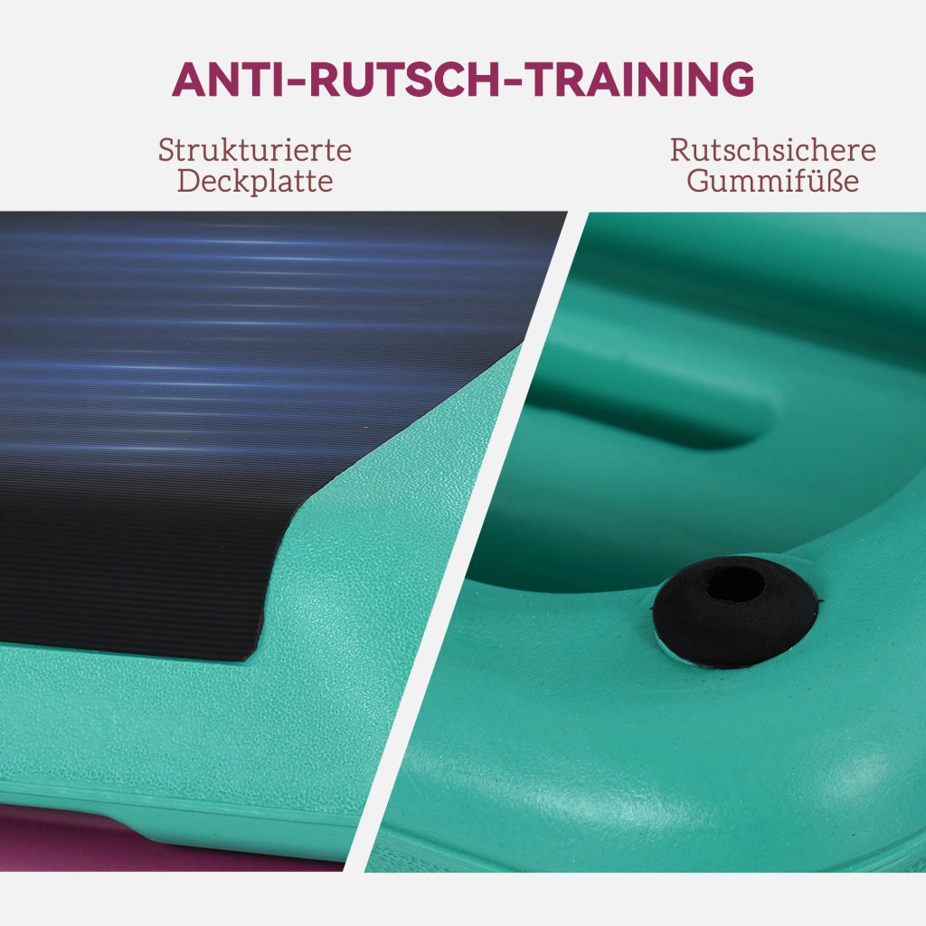 Step Fitness Regolabile ¨C Xylo ¨C 3 Livelli Altezza 10/15/20cm Antiscivolo Nero Verde Viola