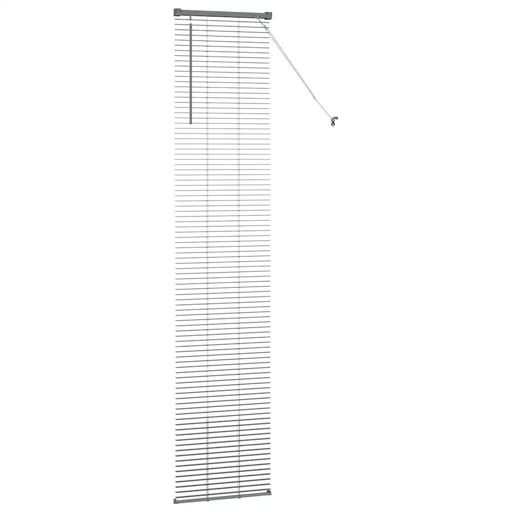 Tendaggi a Veneziana | Tenda a lamelle Grigio scuro 220 x 45 cm Alluminio