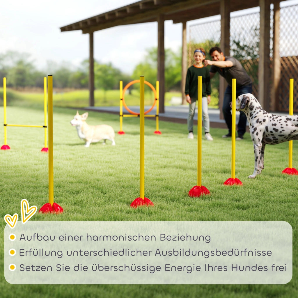 Set Agility per Cani ¨C Minimal ¨C 3 Pezzi con Ostacoli e Stanghe