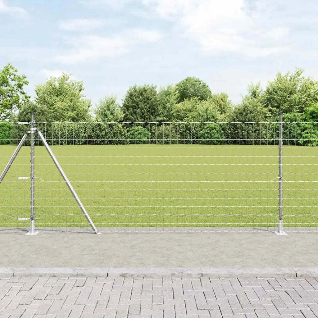Recinzione da Giardino | Recinzione con Posto Argento 0,8 x 25 m Acciaio