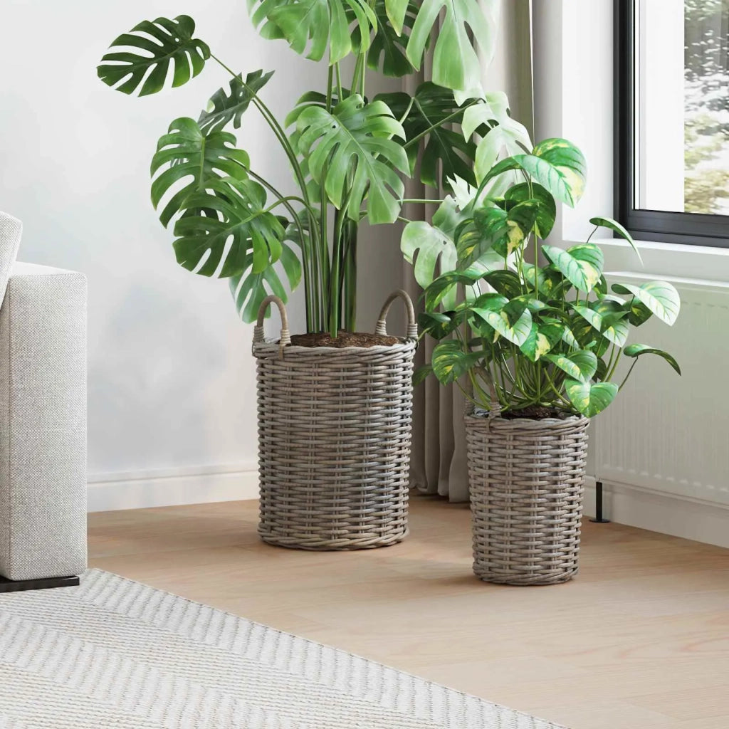 Cesto per Piante con archiviazione 2 pcs Grigio Rattan Kubu 42020957