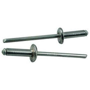 Blinky Rivetti in Alluminio Testa Larga 500 Pezzi 4.8x20mm