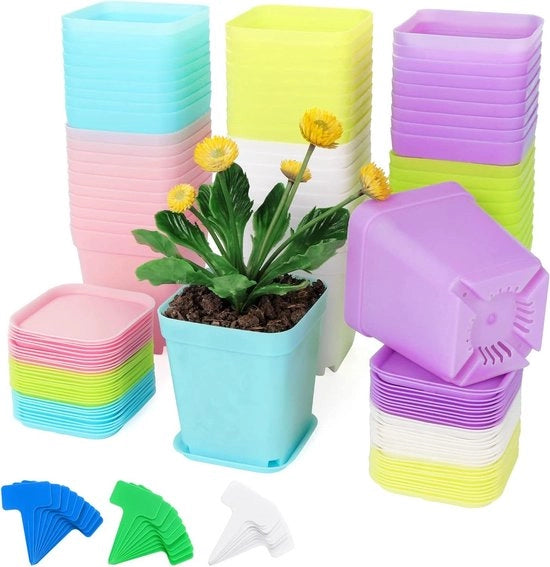 60 piccole vaschette di plastica per piante da 7 cm con foglie di lattuga - vaschetta quadrata per semi di piante - piccola vaschetta per semi di piante - vaschetta colorata per decorare giardino, ufficio e balcone