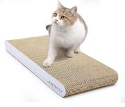 Mat di cattivo con erba dei gatti, 7 colori e 2 misure, con carta riciclata