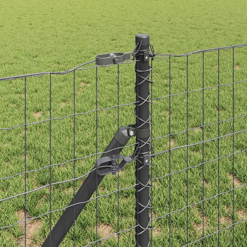 Recinzione con Posto Grigio 0,8 x 25 m Acciaio e PVC
