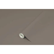 PLASTICA ADESIVA HOMEDECO 288.3236 15 M TORT/LUC