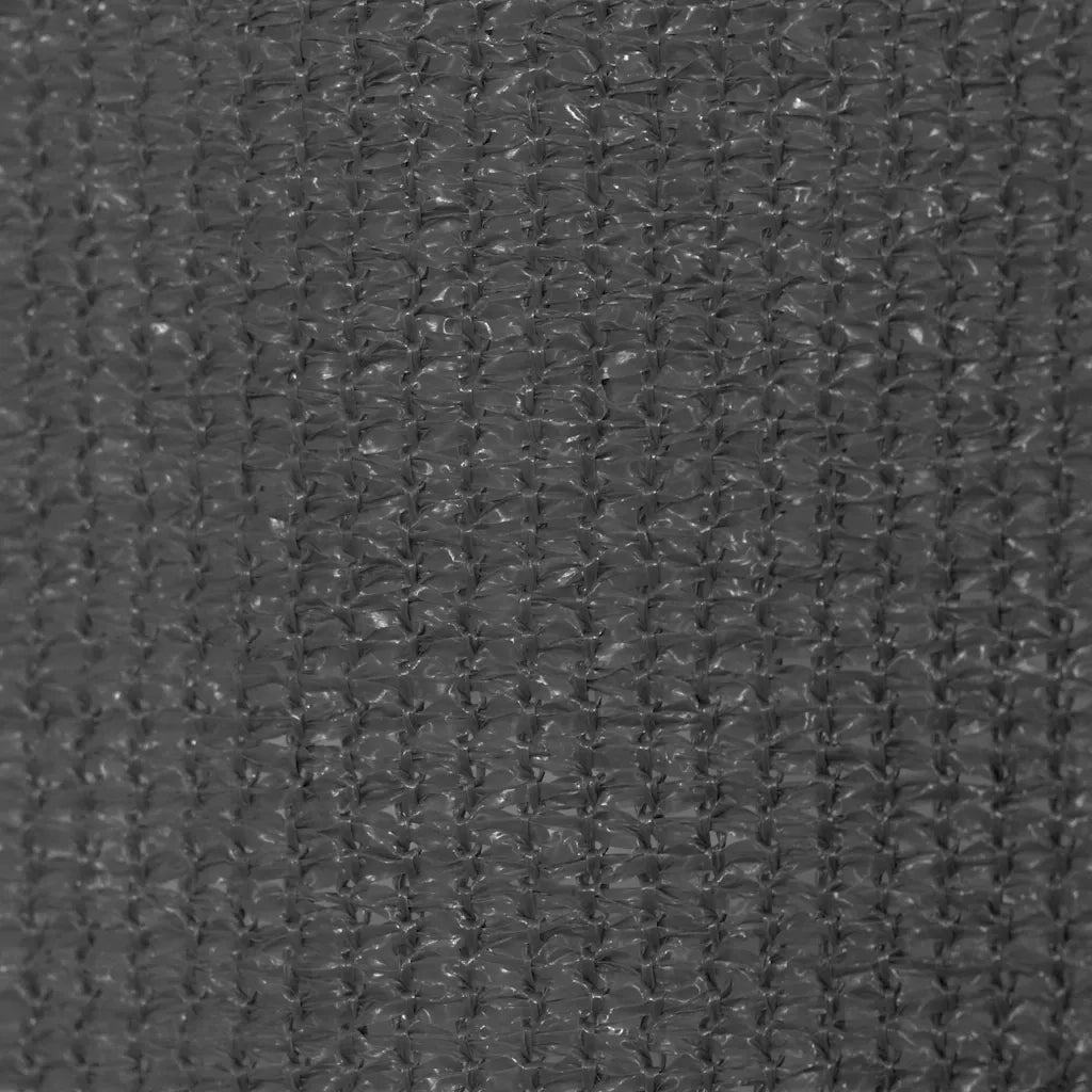 Tenda a Rullo per Esterni 125(L)x140(A) cm Antracite 43483