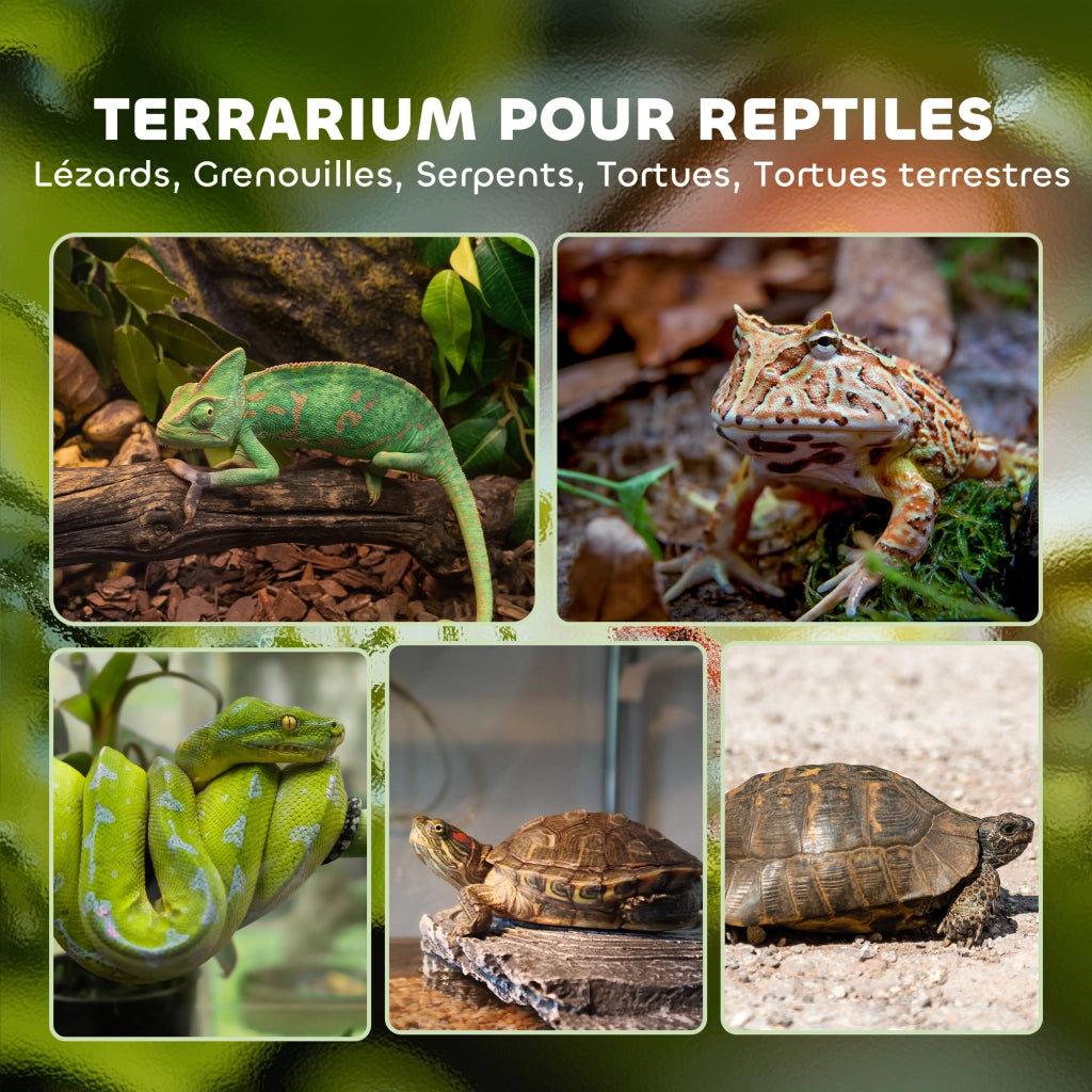 Terrario per Rettili ¨C Minimal ¨C Nero 50x30x35cm