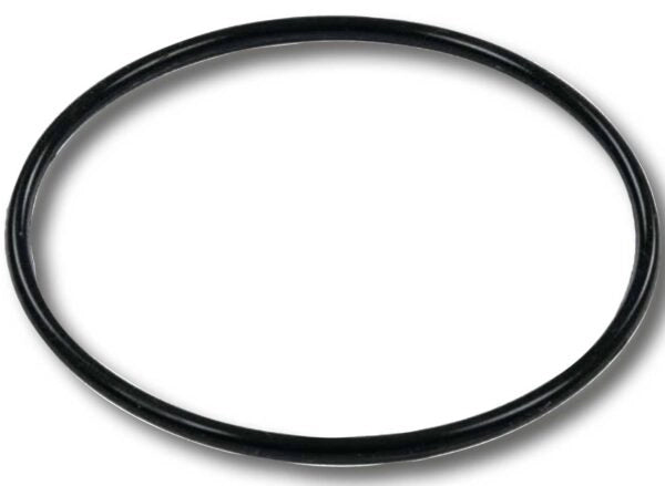Guarnizione O-RING per serbatoio filtr0 a sabbia 58515