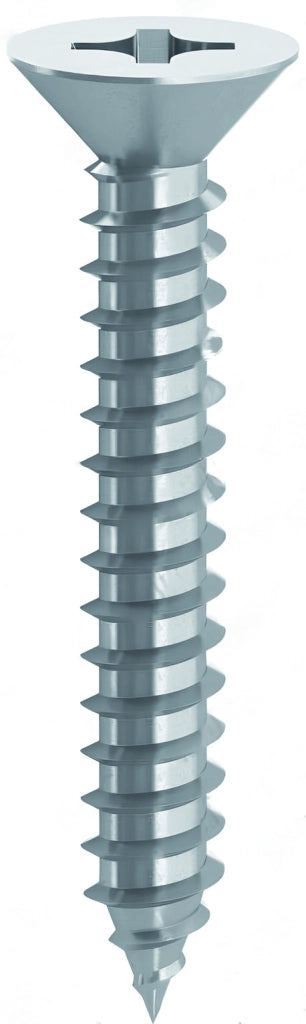 Ambrovit VITE AUTOFILETTANTE TSP ZINCATA  mm. 2,9x 9,5 10.00 centinaia